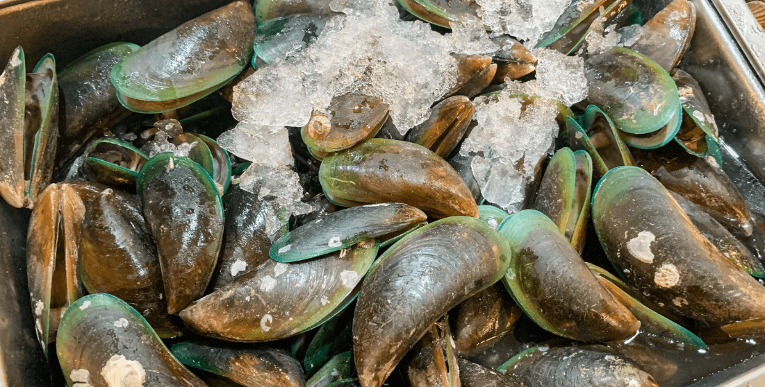 Produk unggulan Kerang Hijau